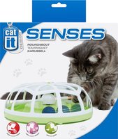 Cat It Senses Roundabout