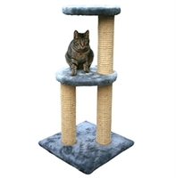 Kattens no 1 Kvik, Färg: Gräddvit, grå, svart, brun