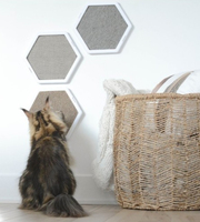 BeOneBreed Prism scratcher