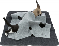 Cat Activity Adventure Carpet