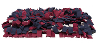 Cat activity Sniffing blanket