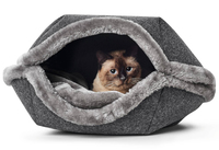 Cat Cave Lugano