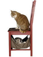 Cat hammock calin