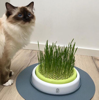 Cat It Senses Grass Garden