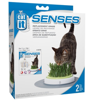 Cat It Senses Grass Garden Refill 2-pack