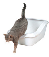Cleany Cat med hög kant