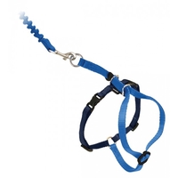 EasyWalk Kattsele + Koppel Blå M