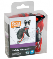 Kattsele bilbälte