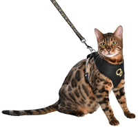Kattsele Champagne Harness med koppel