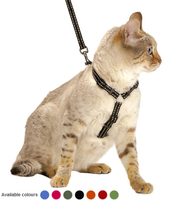 Kattsele safeharness med koppel